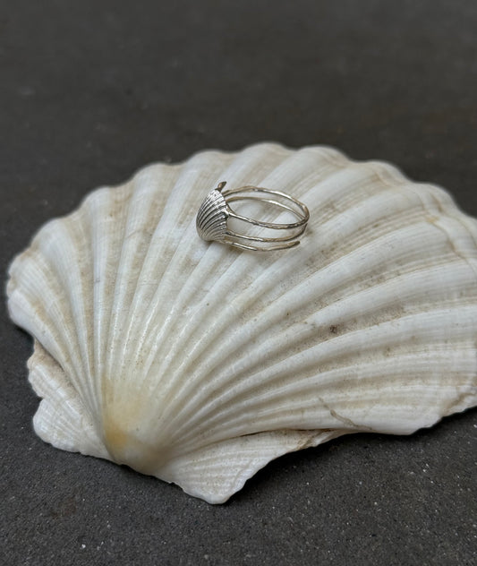 Shell