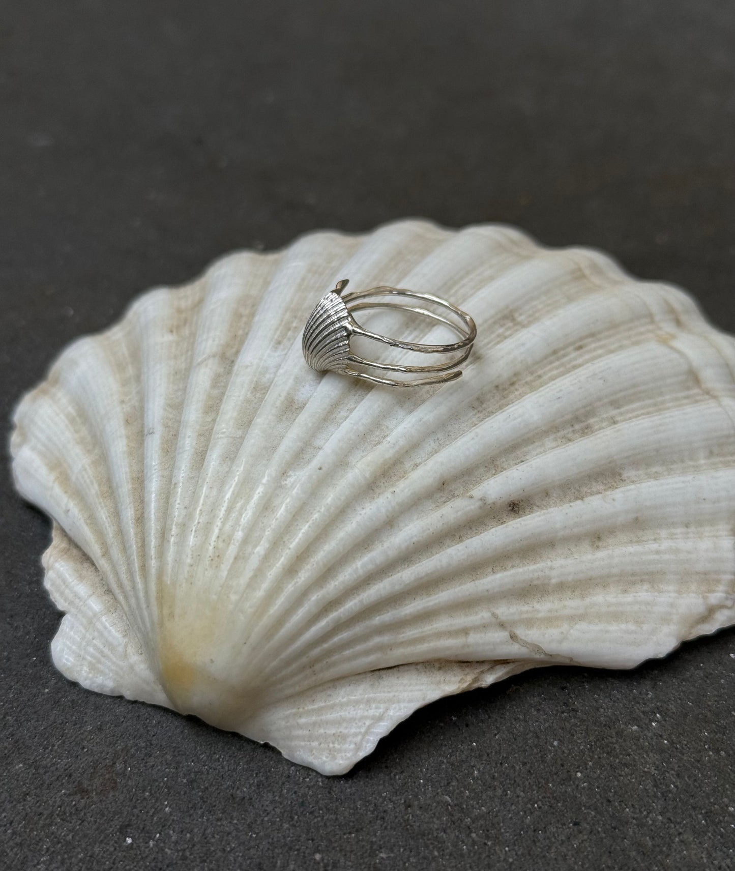 Shell