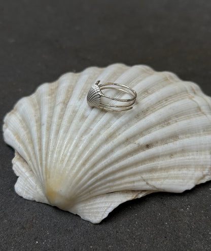 Shell