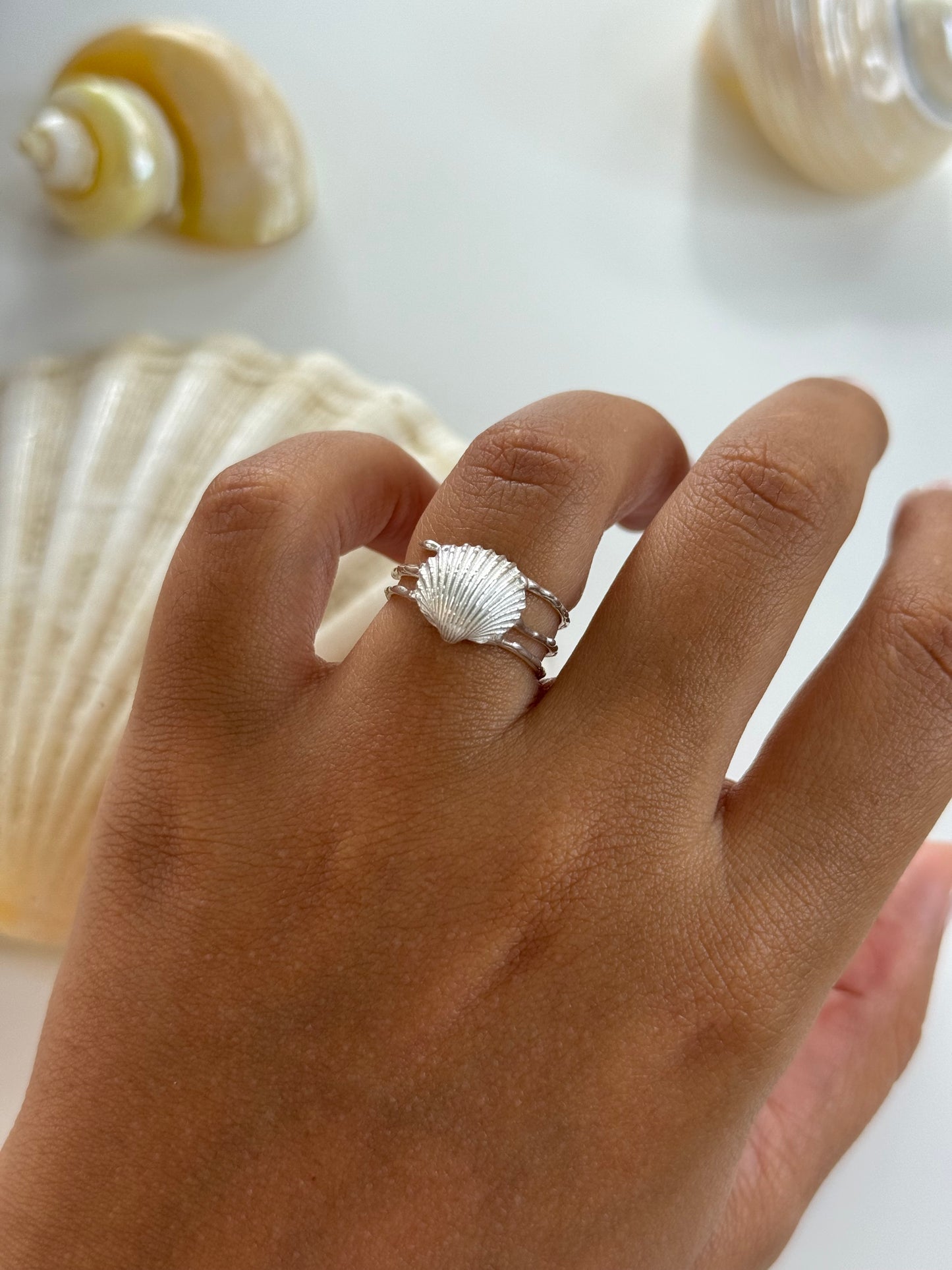 Shell
