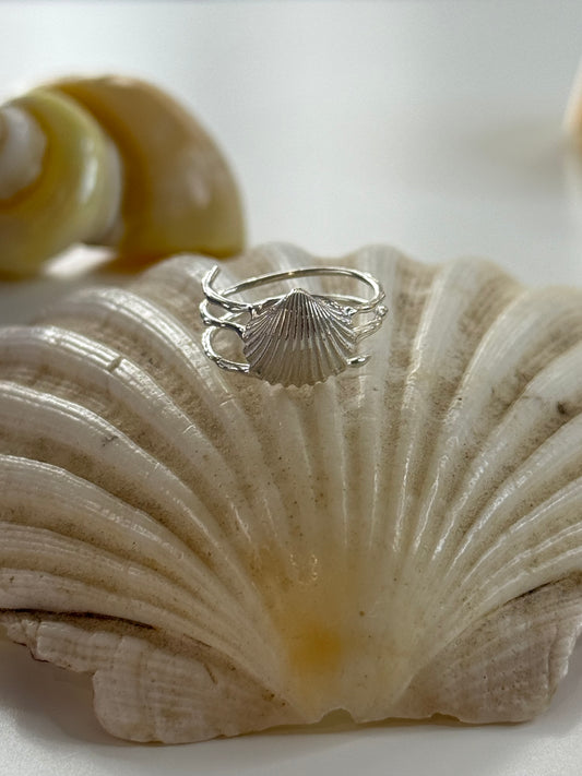 Shell