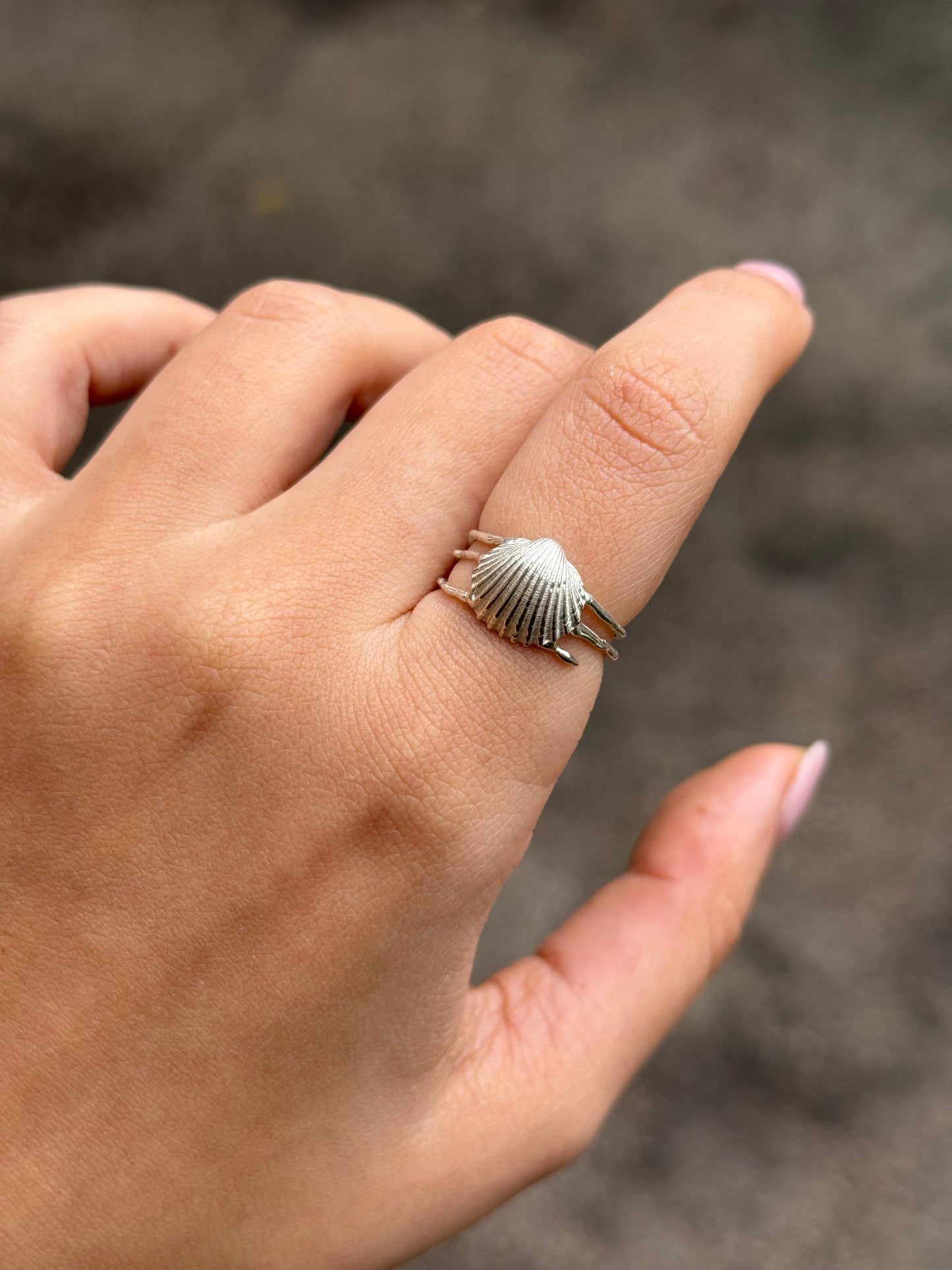 Shell