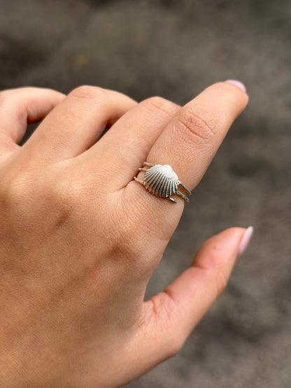 Shell