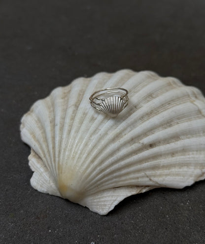 Shell